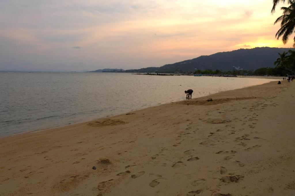 Rose Garden Samui Bungalows Ламай Бийч Екстериор снимка